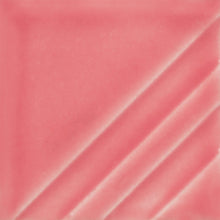 Load image into Gallery viewer, Miami Pink Foundations Sheer Pint