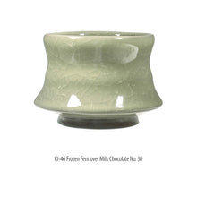 Load image into Gallery viewer, Amaco Kiln Ice Frozen Fern KI-46