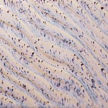 Load image into Gallery viewer, Aurora Breeze Potter's Choice Flux Cone 5 Glaze (Pint) Amaco PCF-16