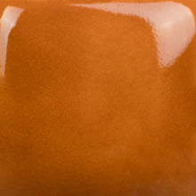 Load image into Gallery viewer, Camel Back SC-48 Stroke and Coat Mayco