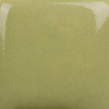 Load image into Gallery viewer, It's Sage SC-79 Stroke and Coat Mayco