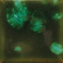 Load image into Gallery viewer, Woodland Fantasy CG-707 Jungle Gems Mayco