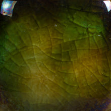 Load image into Gallery viewer, Woodland Fantasy CG-707 Jungle Gems Mayco