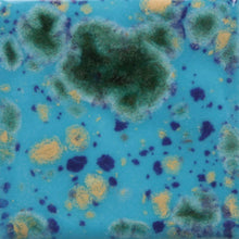 Load image into Gallery viewer, Blue Caprice CG-718 Jungle Gems Mayco