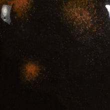 Load image into Gallery viewer, Black Opal CG-779 Jungle Gems Mayco