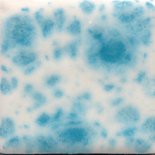 Load image into Gallery viewer, Dutch Enamelware CG-788 Jungle Gems Mayco