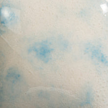 Load image into Gallery viewer, Dutch Enamelware CG-788 Jungle Gems Mayco