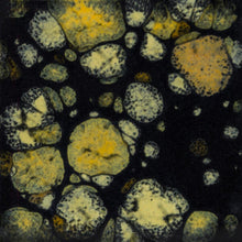 Load image into Gallery viewer, Black Iris CG-798 Jungle Gems Mayco