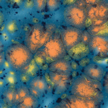 Load image into Gallery viewer, Koi Pond CG-983 Jungle Gems Mayco