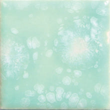 Load image into Gallery viewer, Seafoam CG-997 Jungle Gems Mayco