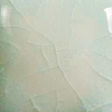 Load image into Gallery viewer, Seafoam CG-997 Jungle Gems Mayco