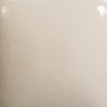 Load image into Gallery viewer, Golden Clear Mayco Foundations Sheer Pint