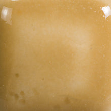 Load image into Gallery viewer, Saddle Tan Mayco Foundations Sheer Pint