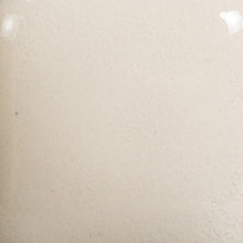 Load image into Gallery viewer, Floral Pink Mayco Foundations Sheer Pint