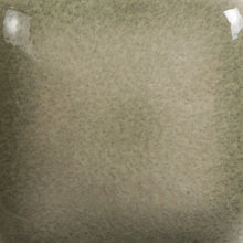 Load image into Gallery viewer, Sooty Grey Mayco Foundations Sheer Pint