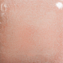 Load image into Gallery viewer, Poppy Mayco Foundations Sheer Pint