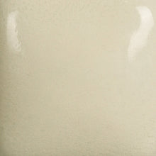 Load image into Gallery viewer, Celadon Foundations Sheer Pint