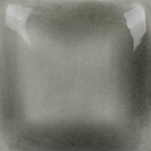 Load image into Gallery viewer, Sooty Grey Mayco Foundations Sheer Pint