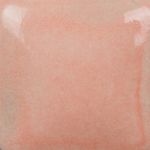 Load image into Gallery viewer, Poppy Mayco Foundations Sheer Pint