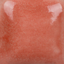 Load image into Gallery viewer, Ruby Red Foundations Sheer Pint