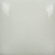 Load image into Gallery viewer, Celadon Foundations Sheer Pint