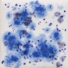 Load image into Gallery viewer, Peacock Eyes S-2701 Jungle Gems Mayco