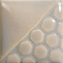 Load image into Gallery viewer, Oyster Shell EL-101 Mayco Elements Pint