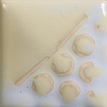 Load image into Gallery viewer, Oyster Shell EL-101 Mayco Elements Pint