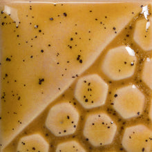 Load image into Gallery viewer, Amber Ash EL-107 Mayco Elements Pint