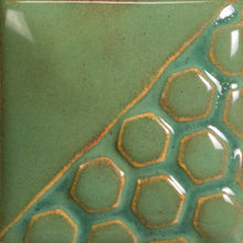 Load image into Gallery viewer, Turtle Shell EL-131 Mayco Elements Pint