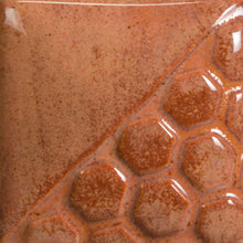 Load image into Gallery viewer, Cactus Flower EL-143 Mayco Elements Pint