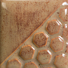 Load image into Gallery viewer, Ginger Root EL-145 Mayco Elements Pint