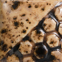 Load image into Gallery viewer, Spotted Walnut EL-212 Chunkies Mayco Elements Pint