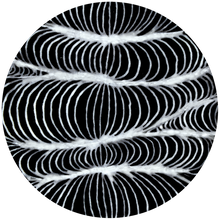 Load image into Gallery viewer, Designer Liner White