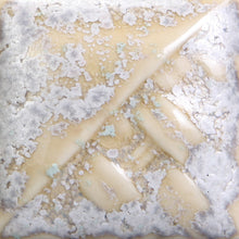 Load image into Gallery viewer, Sea Salt SW-118 Stoneware Mayco Pint